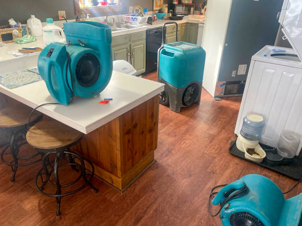 Best Local water damage restoration  in Grandview, OK