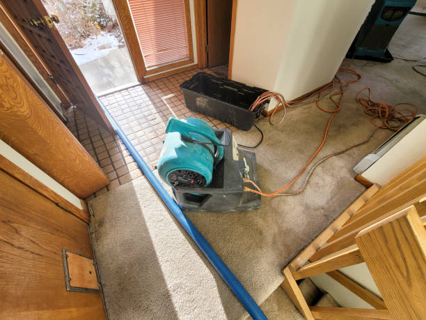 Best Water damage restoration insurance claims  in Grandview, OK