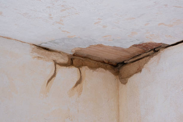 Best Water damage contractors near me  in Grandview, OK