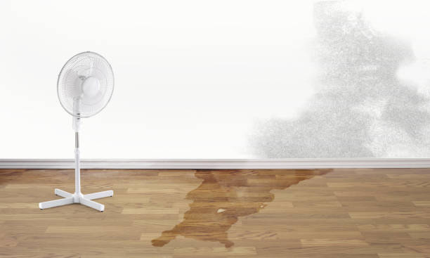 Best Professional water damage repair  in Grandview, OK