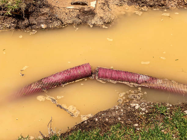 Reliable OK Water damage restoration Solutions